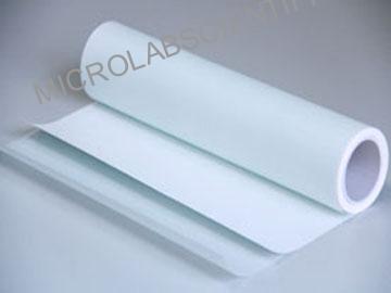 Blotting Membrane